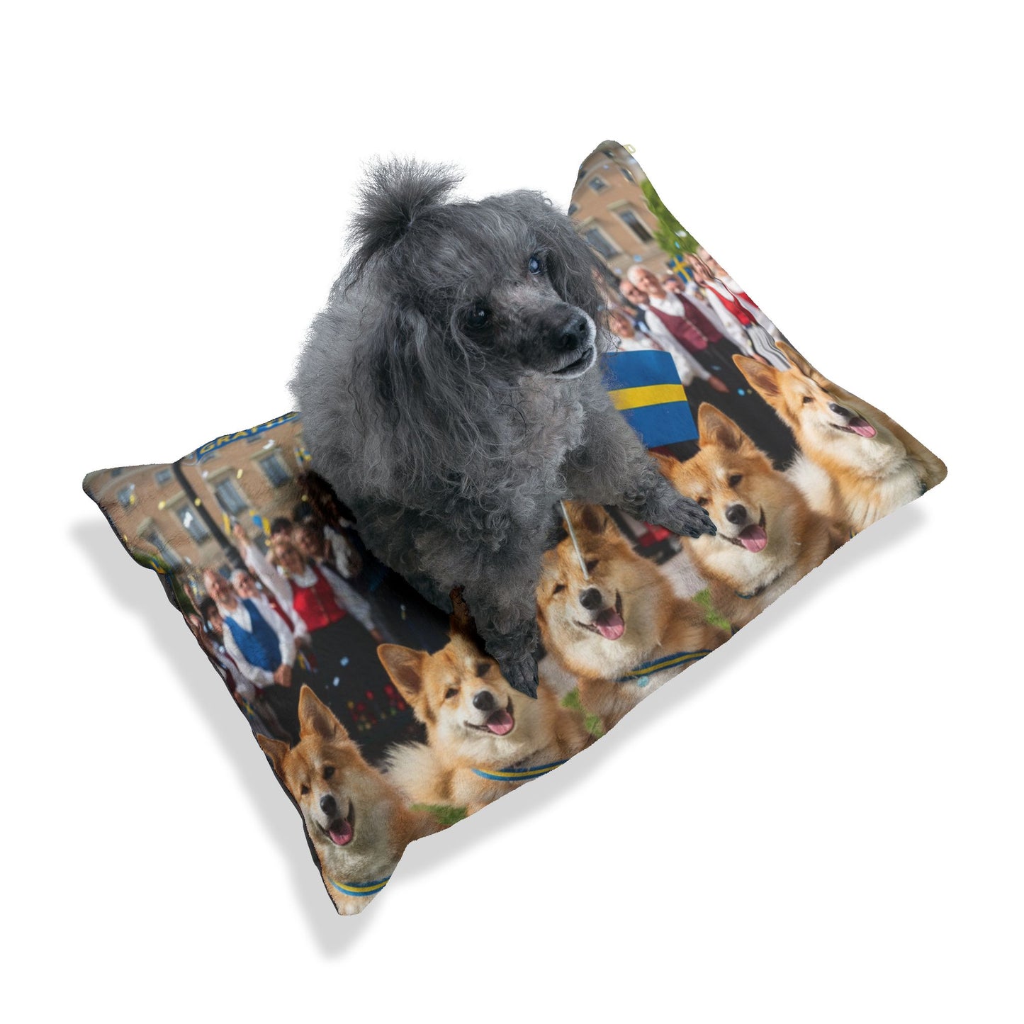 Swedish Vallhund Pet Bed