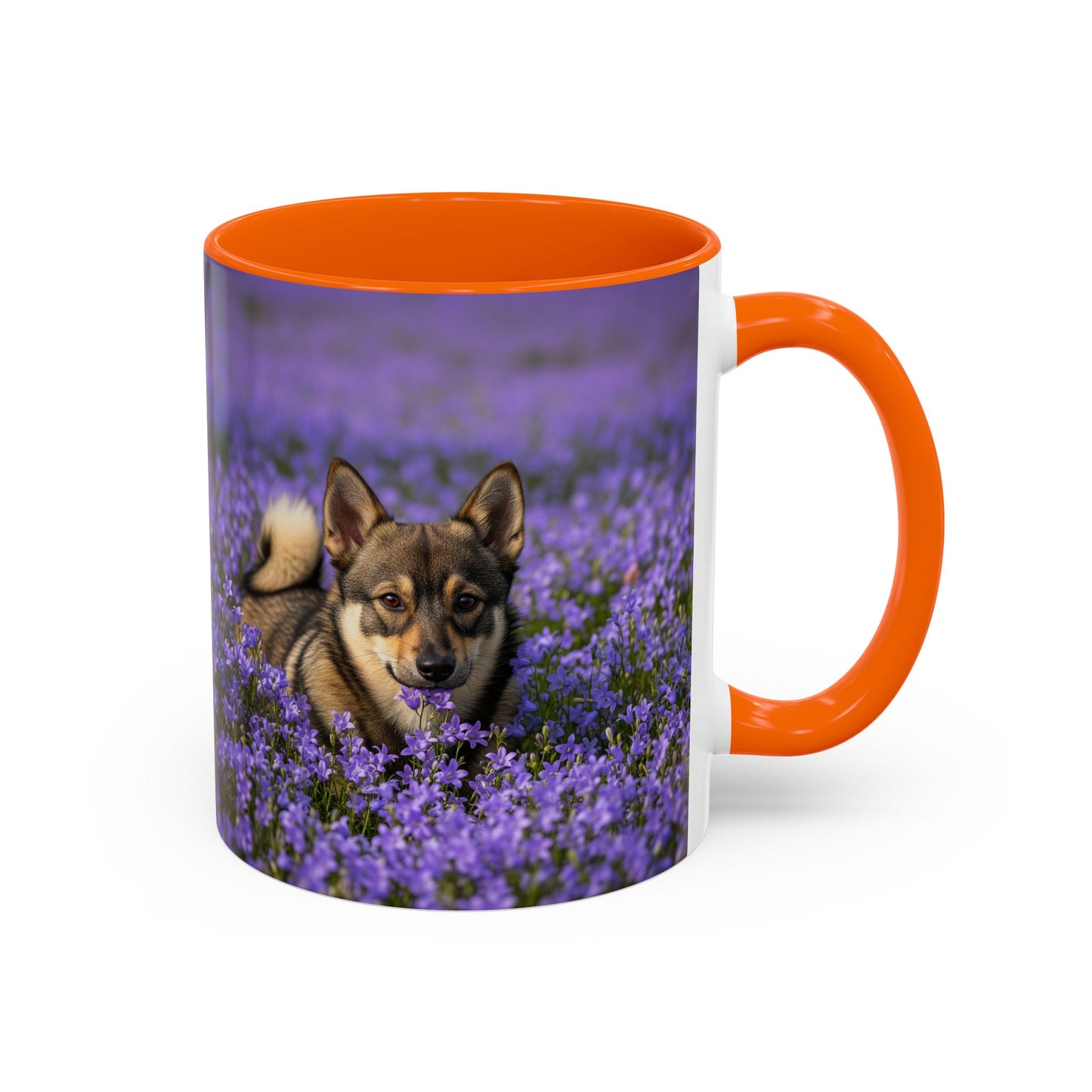 Swedish Vallhund Accent Coffee Mug - Perfect Gift for Dog Lovers