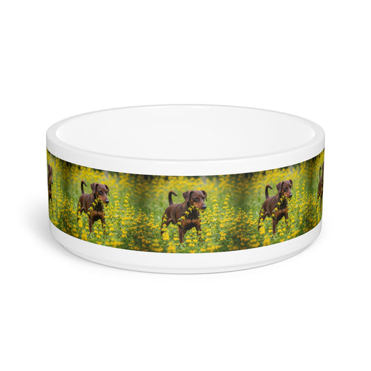 German Pinscher Pet Bowl