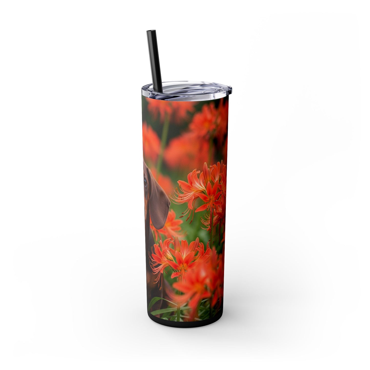Gobelet isotherme Teckel avec paille, 590 ml