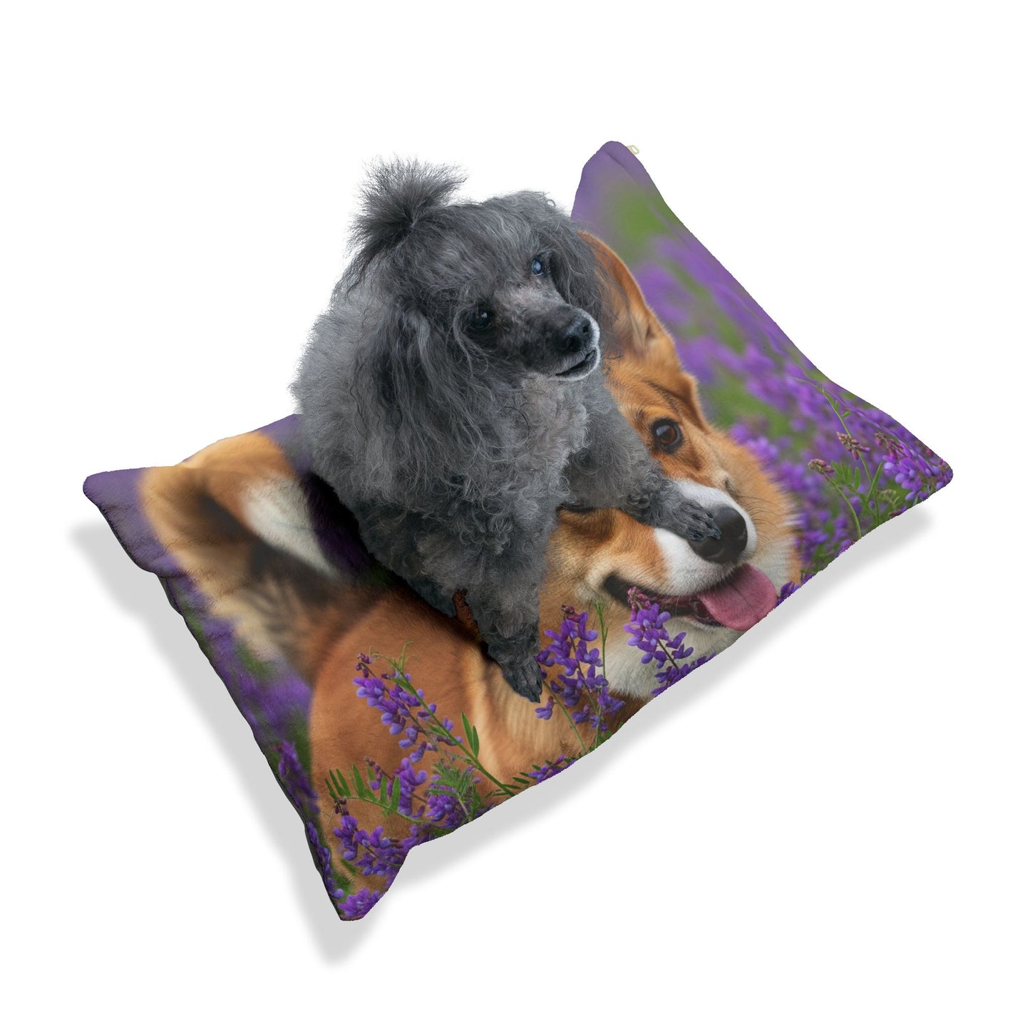 Cama para mascotas Cardigan Welsh Corgi