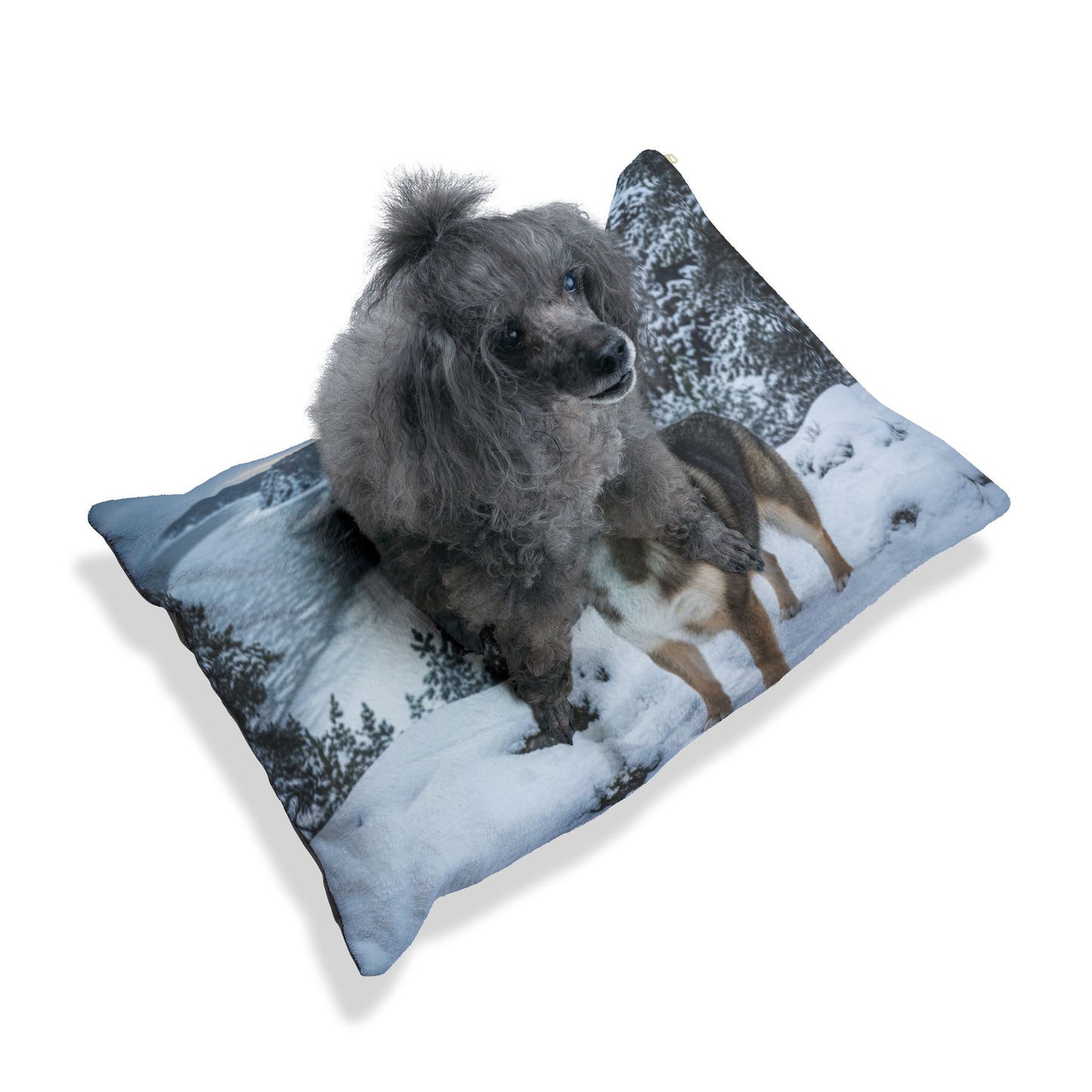 Swedish Vallhund Pet Bed