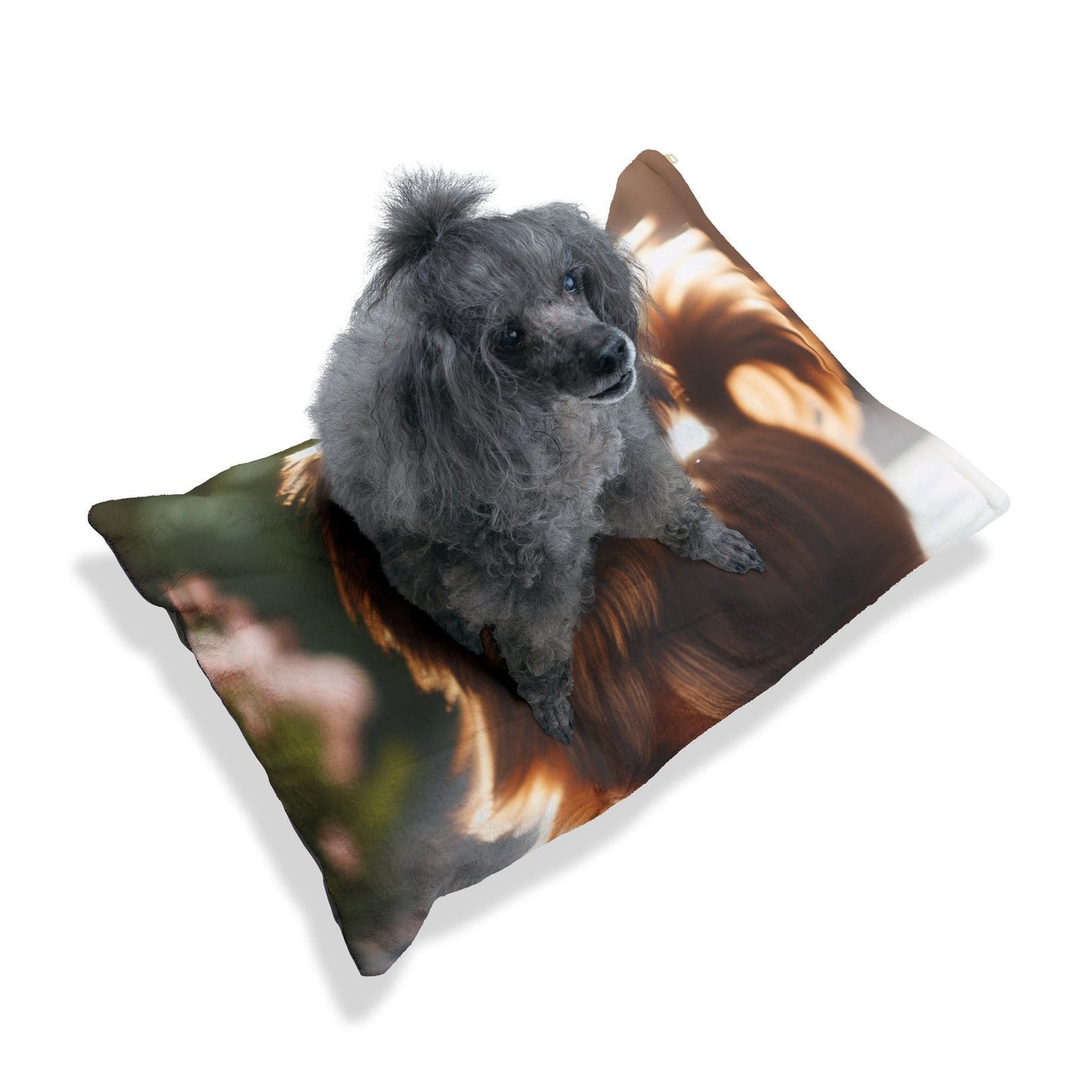 Silky Brussels Pet Bed