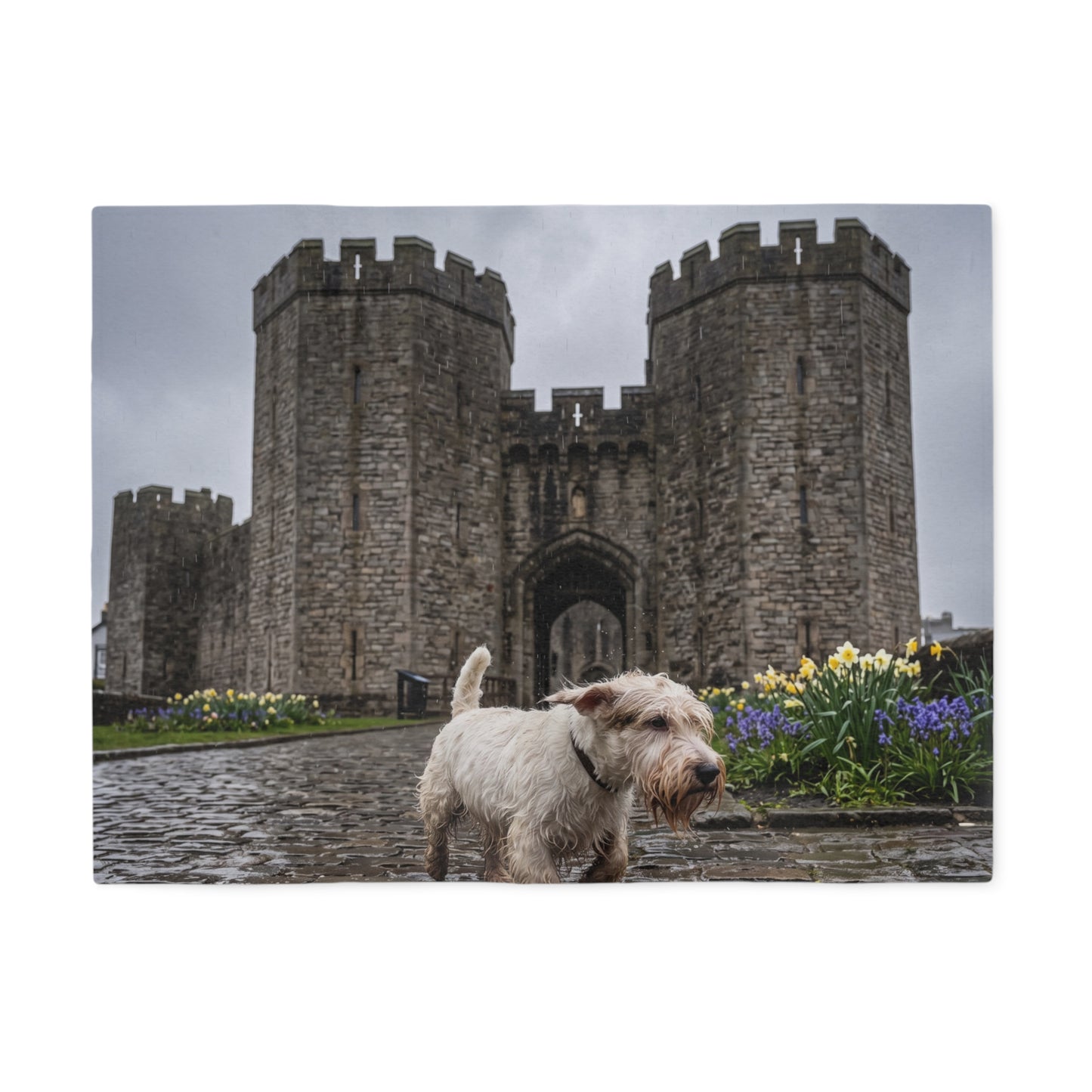 Sealyham Terrier Blanket