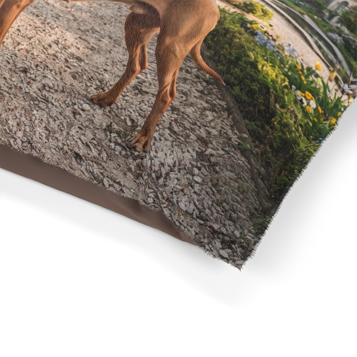 Cirneco dell'Etna Pet Bed