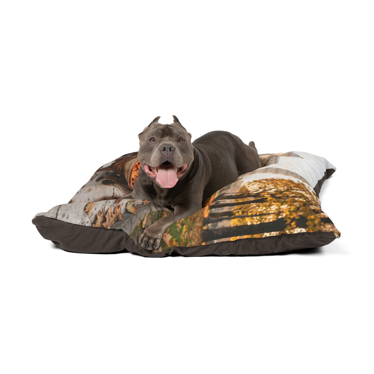 Lagotto Romagnolo Pet Bed