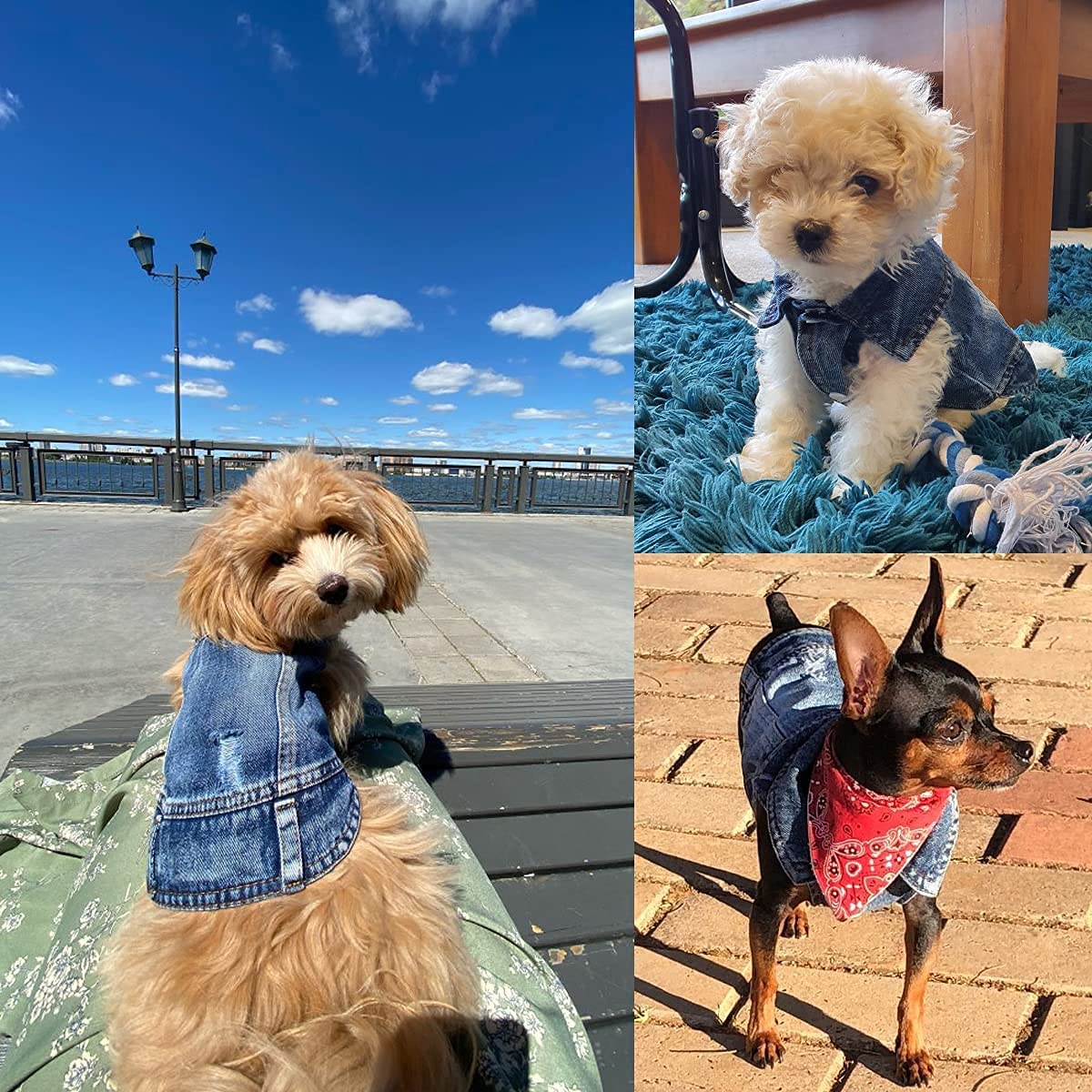 Chaqueta vaquera azul para perro y gato, abrigo y chaleco 