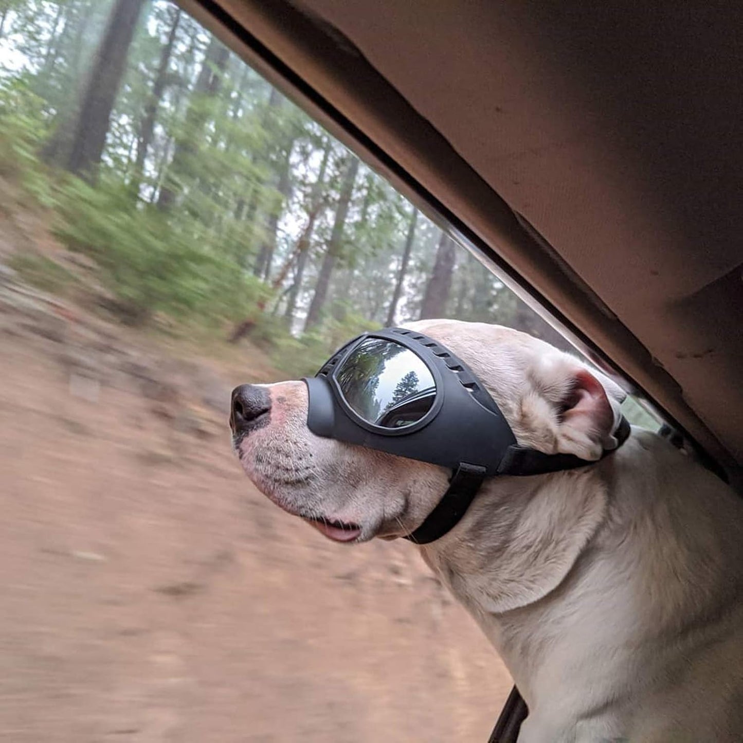 "Doggles" Dog Goggles Sunglasses