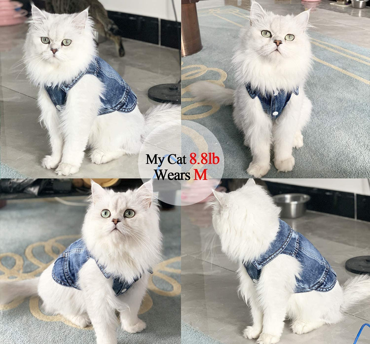 Chaqueta vaquera azul para perro y gato, abrigo y chaleco 