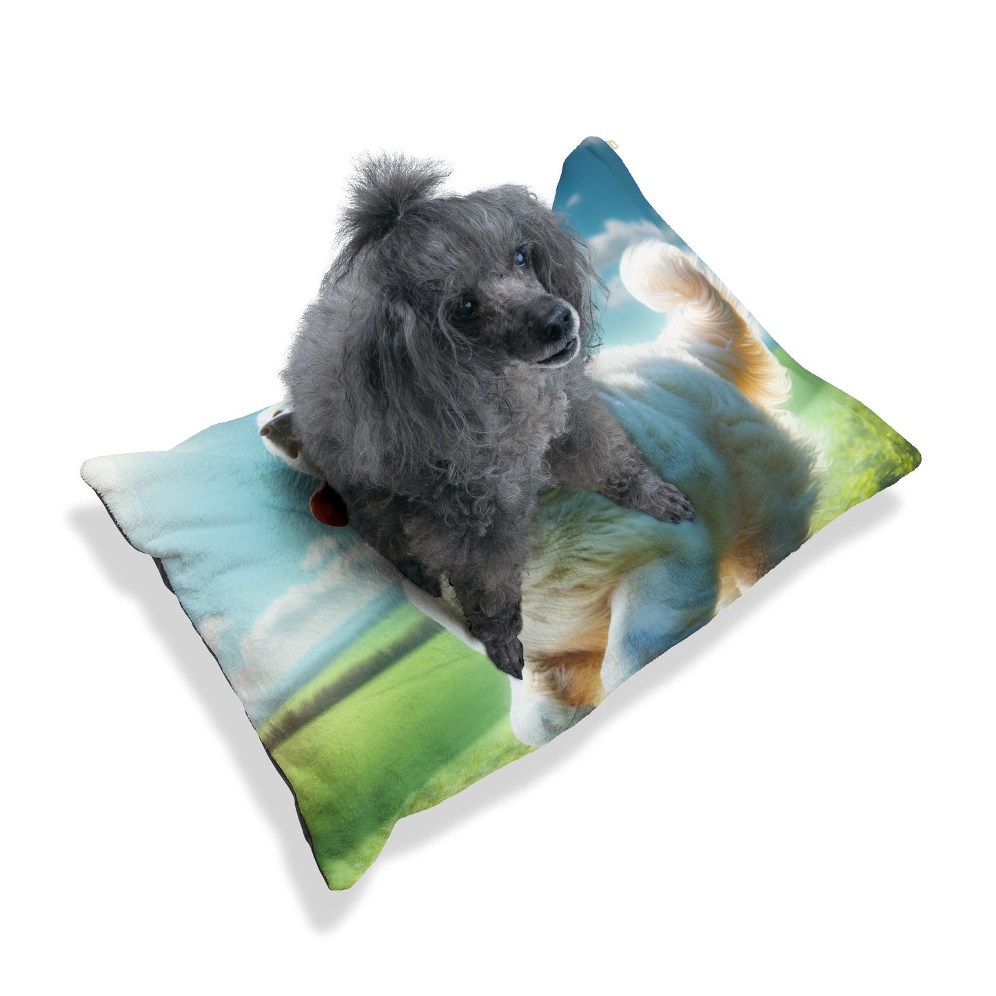 Kuvasz Pet Bed