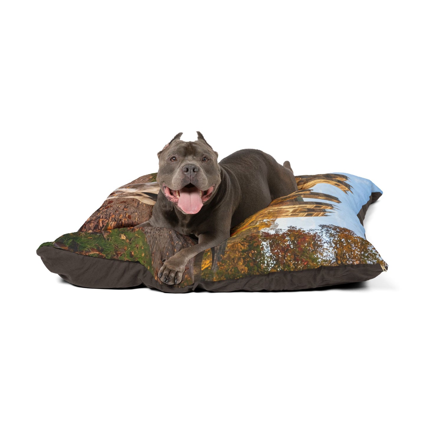 Jack Russell Terrier Pet Bed
