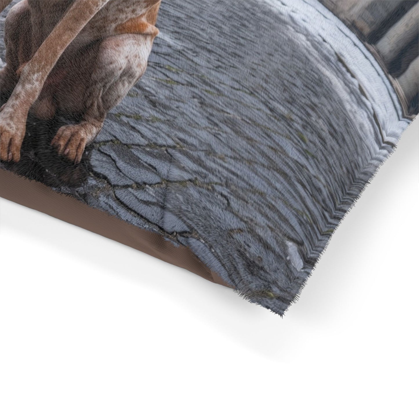 Bracco Italiano Pet Bed