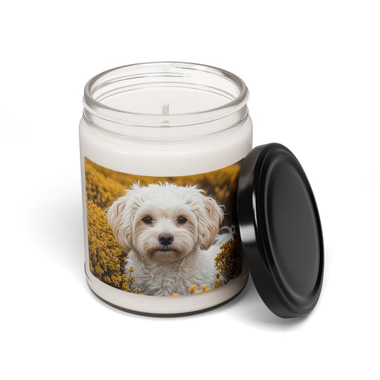 Maltipoo- Scented Soy Candle, 9oz