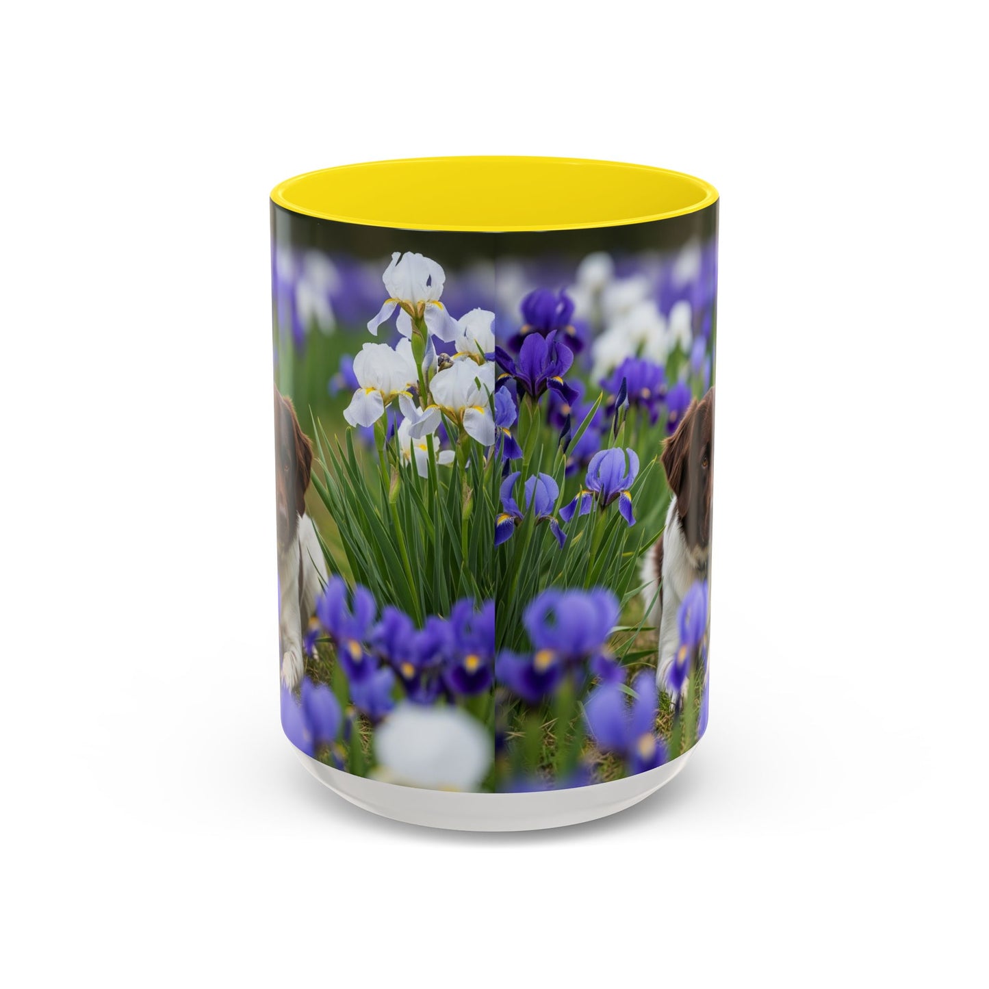 Mug Stabyhouns Accent - Cadeau idéal pour les amoureux des chiens