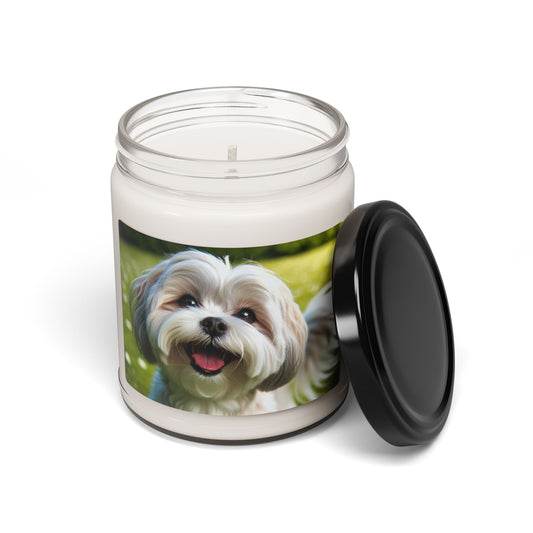 Shihmalt- Scented Soy Candle, 9oz