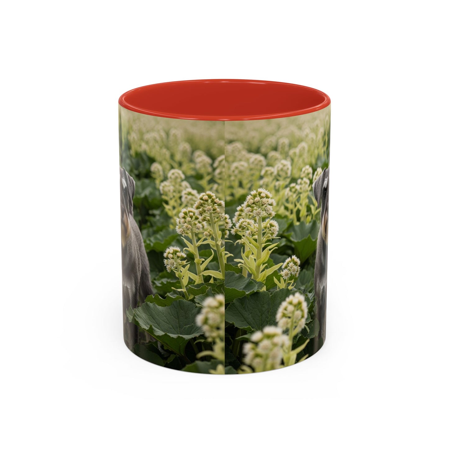 Mug à café avec motif Schnauzer standard - Cadeau idéal pour les amoureux des chiens