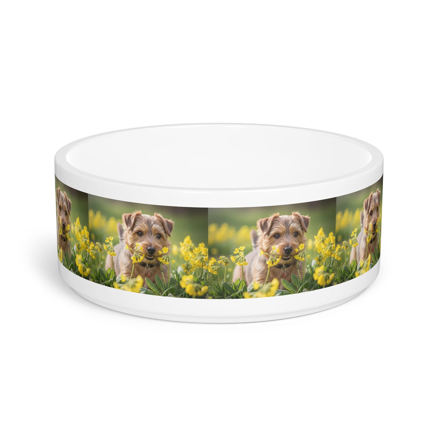 Ceramic Pet Bowl – 16 oz Dog Feeding Bowl