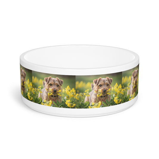 Cuenco para mascotas Norfolk Terrier