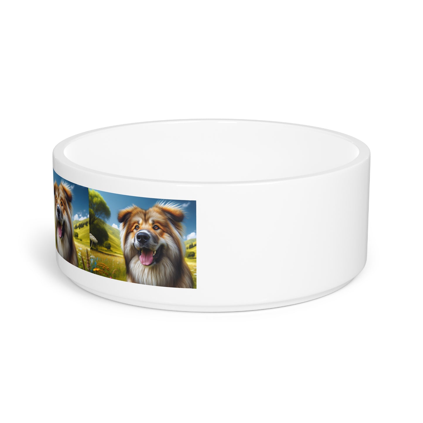 Bakharwal Pet Bowl