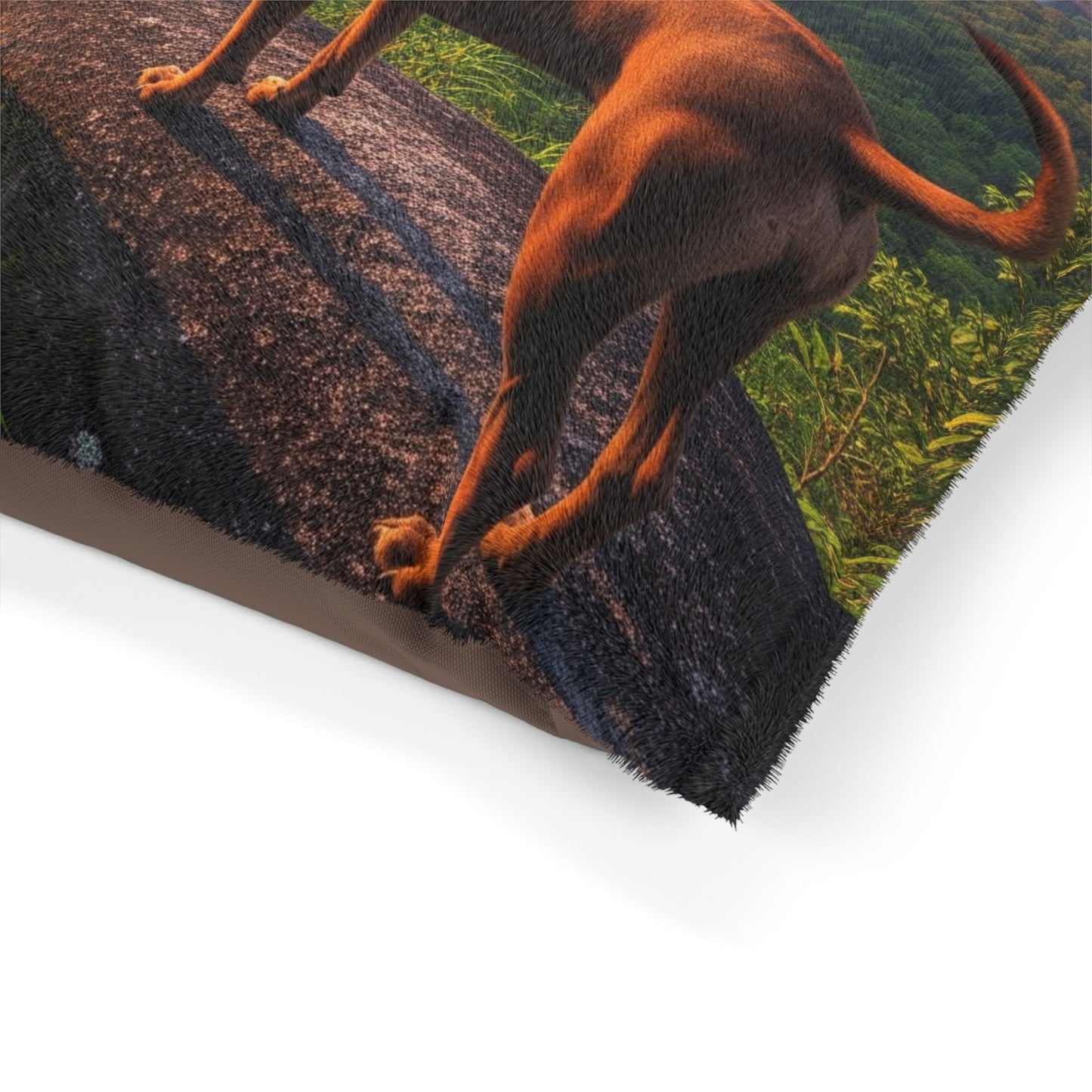 Thai Ridgeback Dog Bed