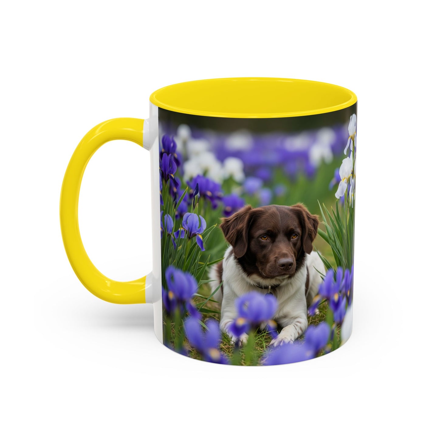 Mug Stabyhouns Accent - Cadeau idéal pour les amoureux des chiens