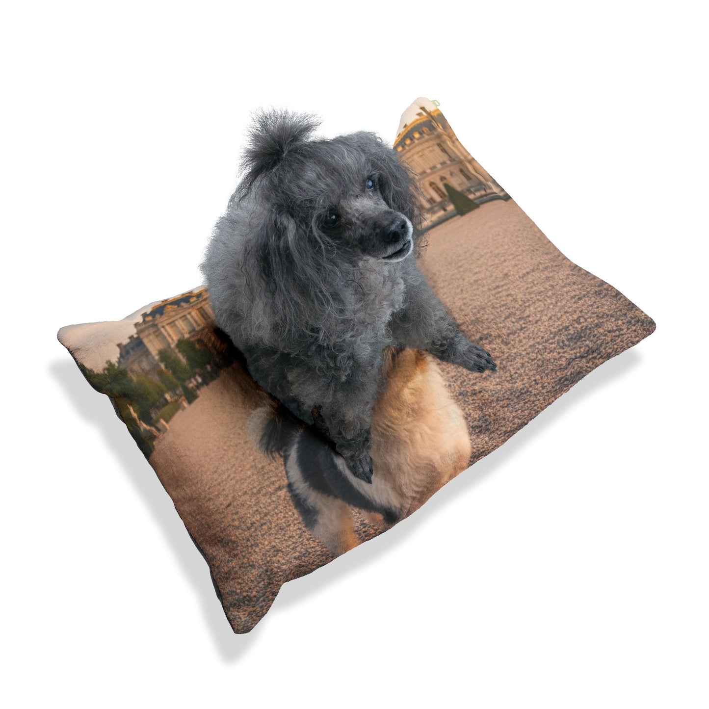Löwchen Pet Bed