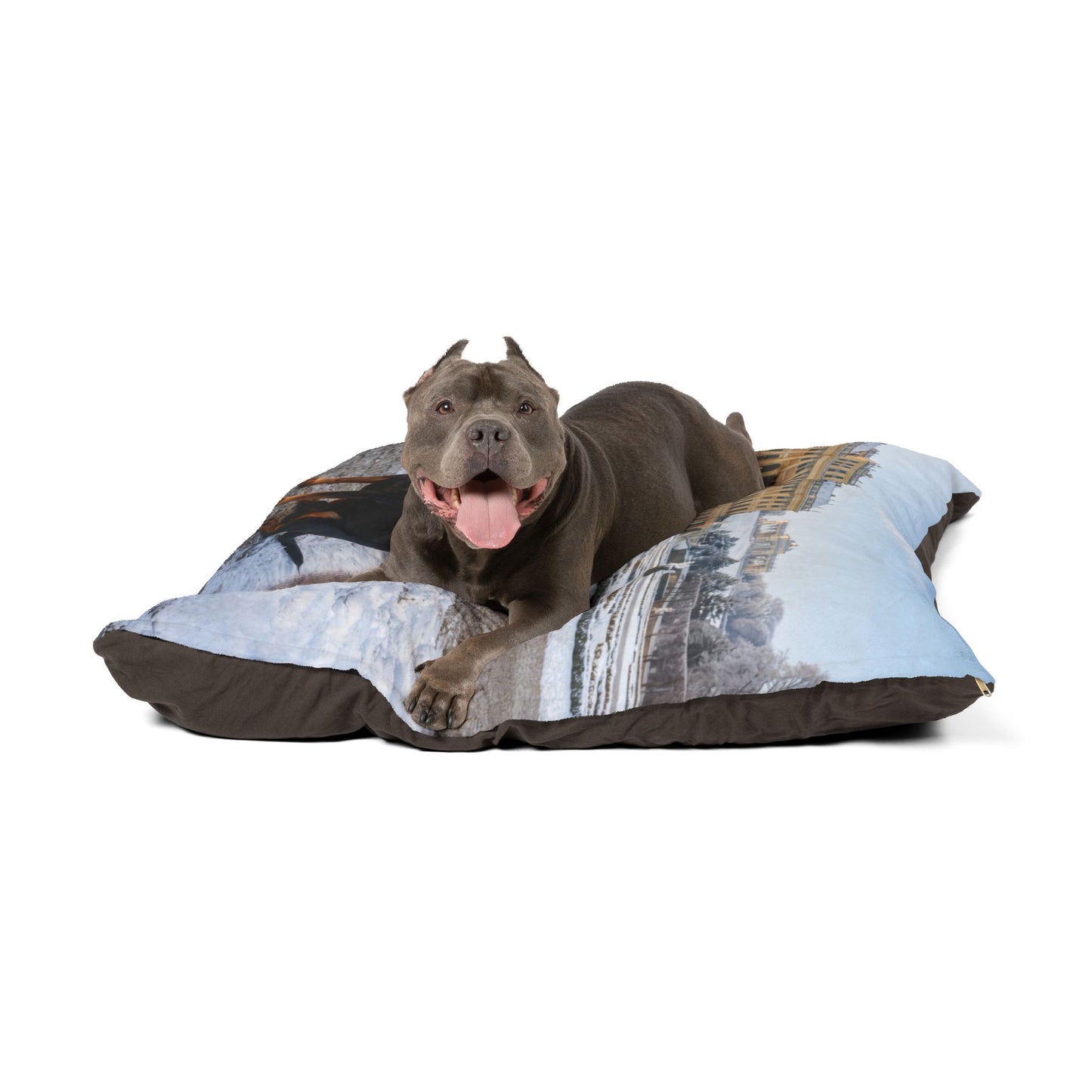 Austrian Black and Tan Hound Pet Bed