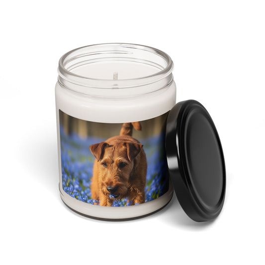 Irish Terrier- Scented Soy Candle, 9oz