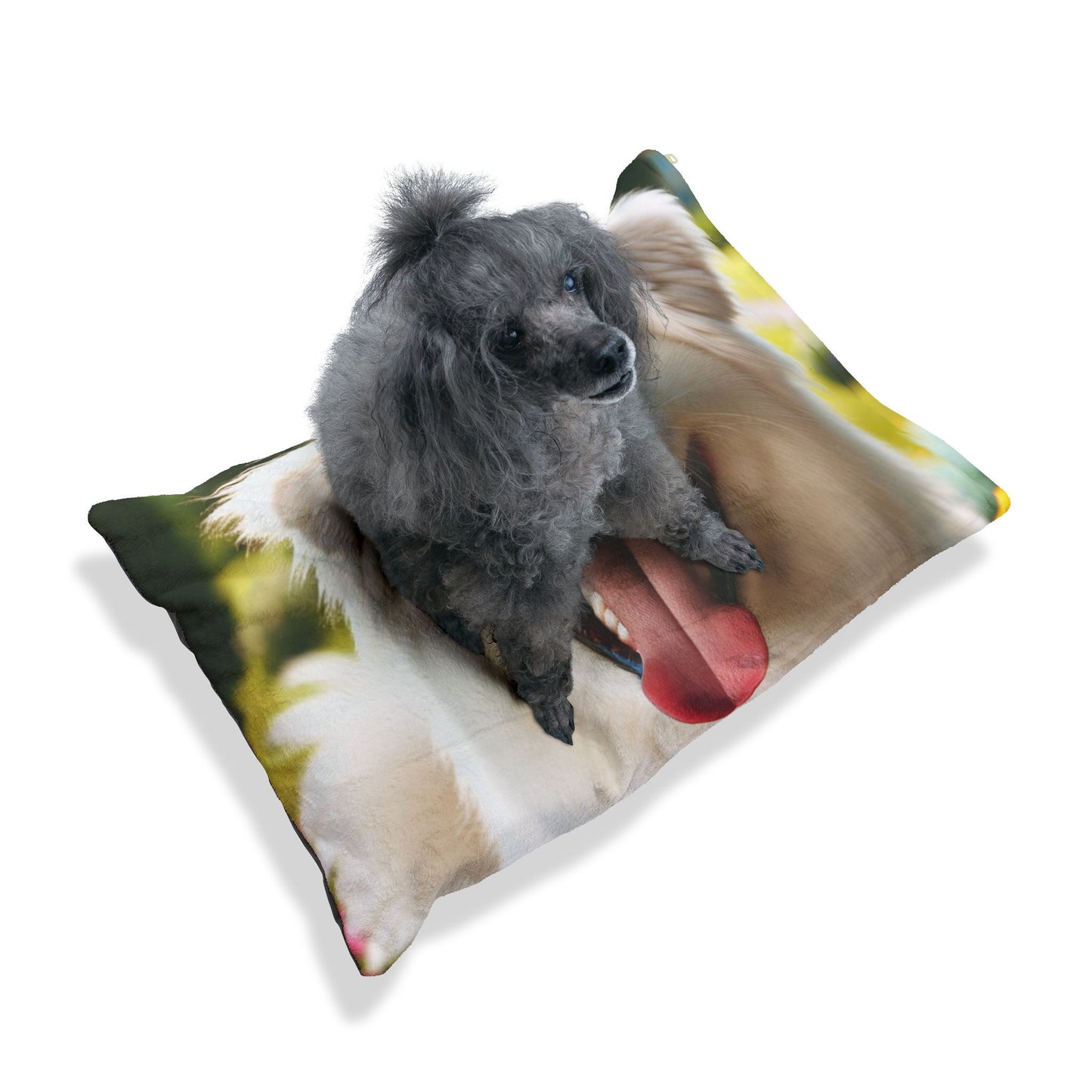 Slovensky Cuvac Pet Bed