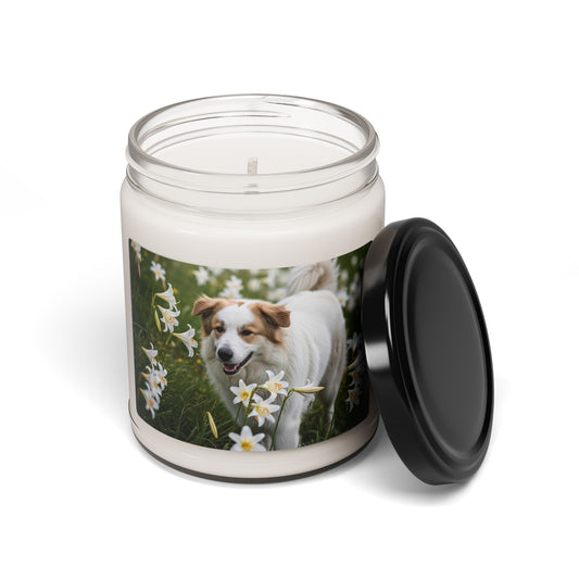 Pyrenean Shepherd- Scented Soy Candle, 9oz