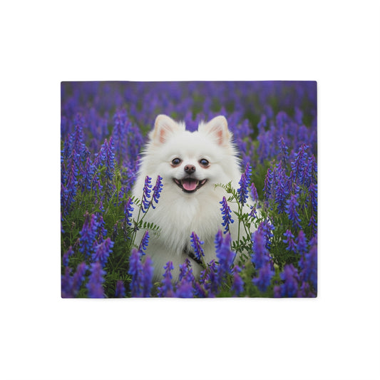 Pomeranian Sweatshirt Blanket