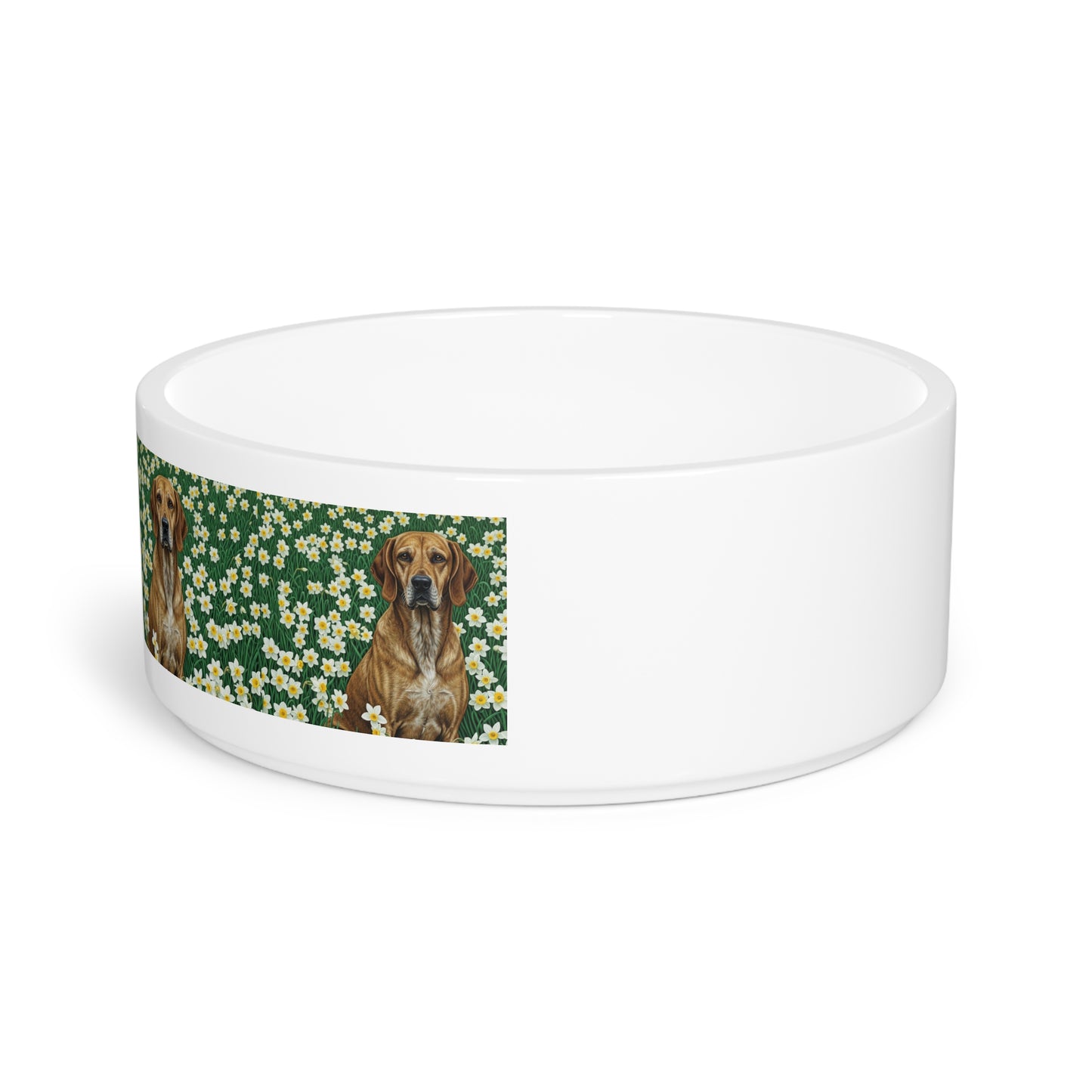 Porcelaine Pet Bowl