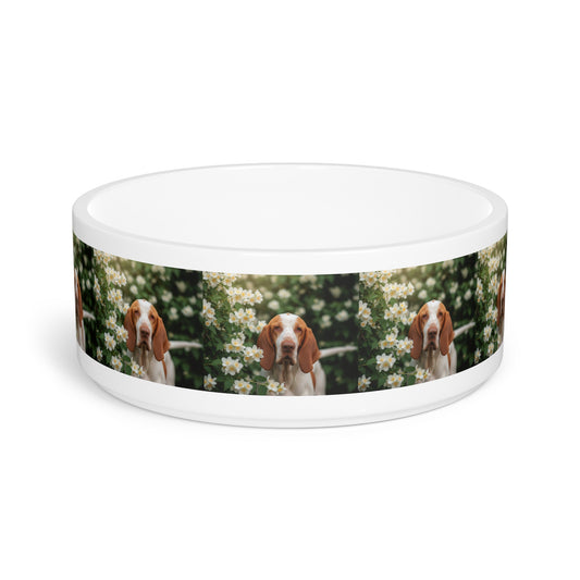 Bracco Italiano Pet Bowl