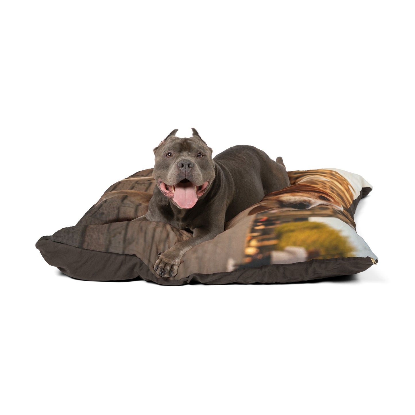 Petit Basset Griffon Pet Bed
