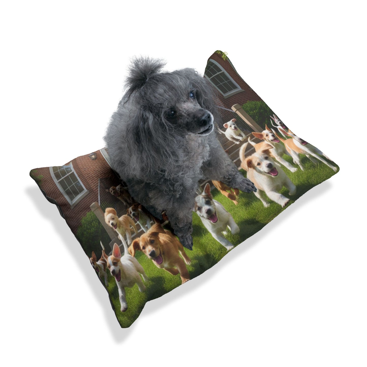 Puppies Start of Summer Vacation Pet Bed