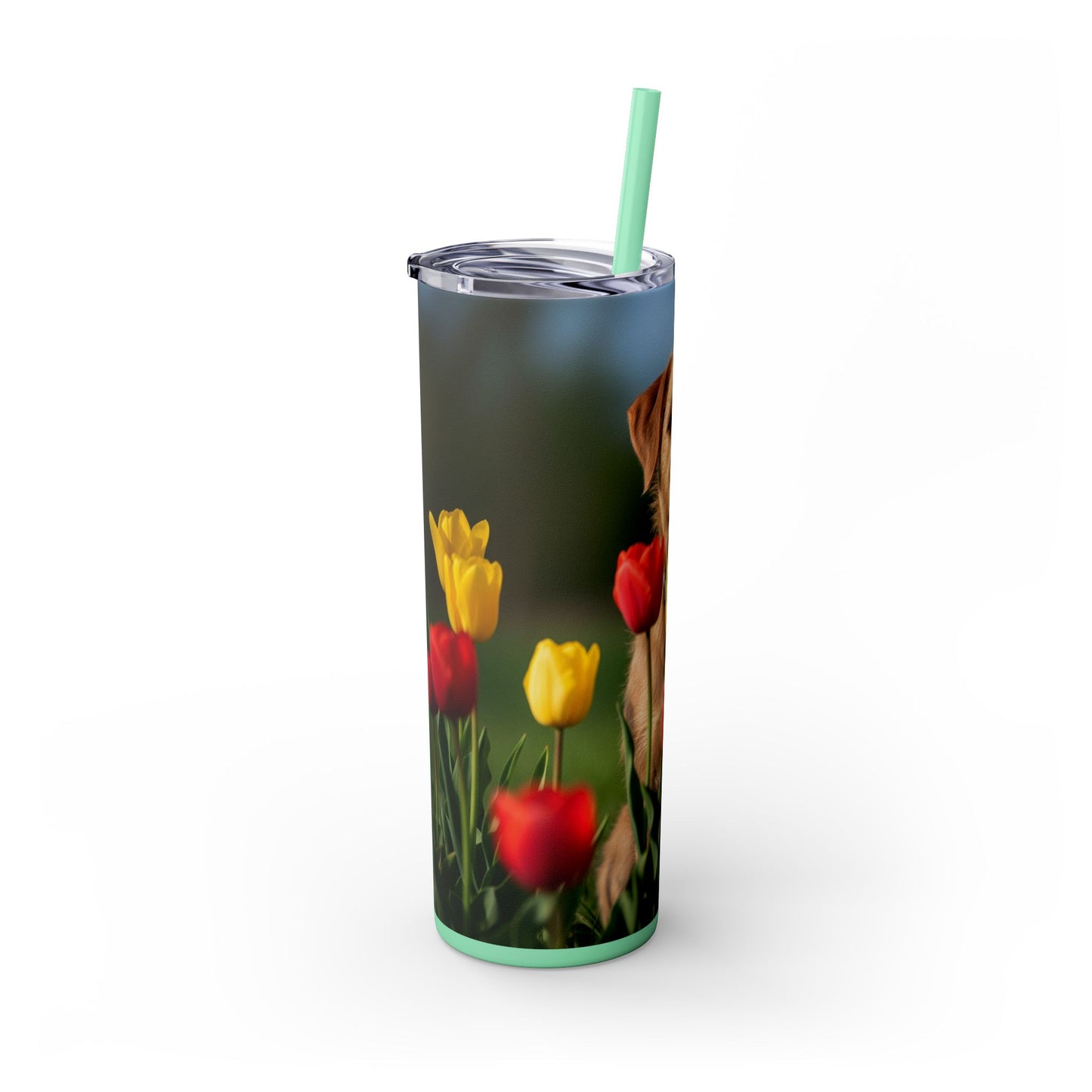 Pumi Skinny Tumbler with Straw, 20oz