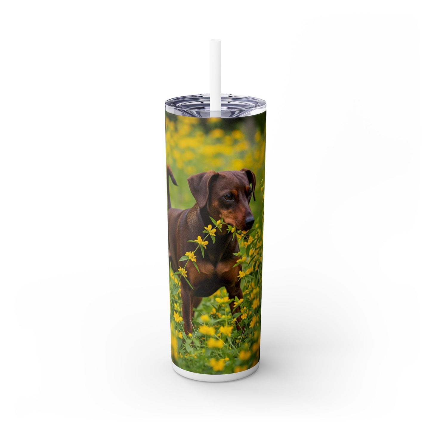 German Pinscher Tumbler with Straw, 20oz