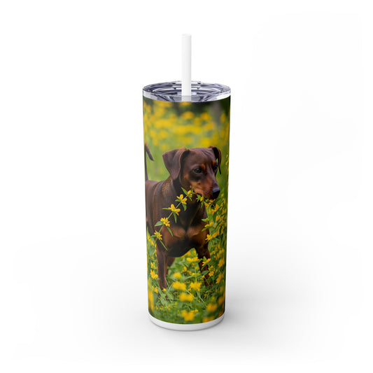 German Pinscher Tumbler with Straw, 20oz