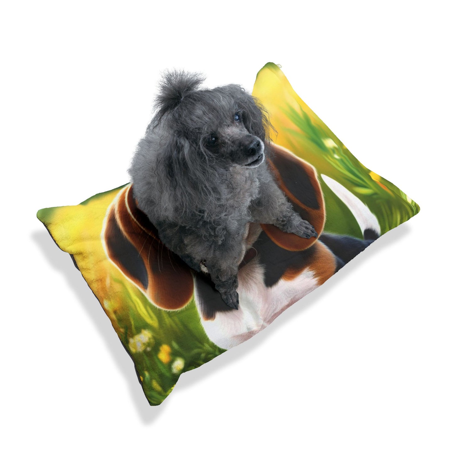 Beagle Pet Bed