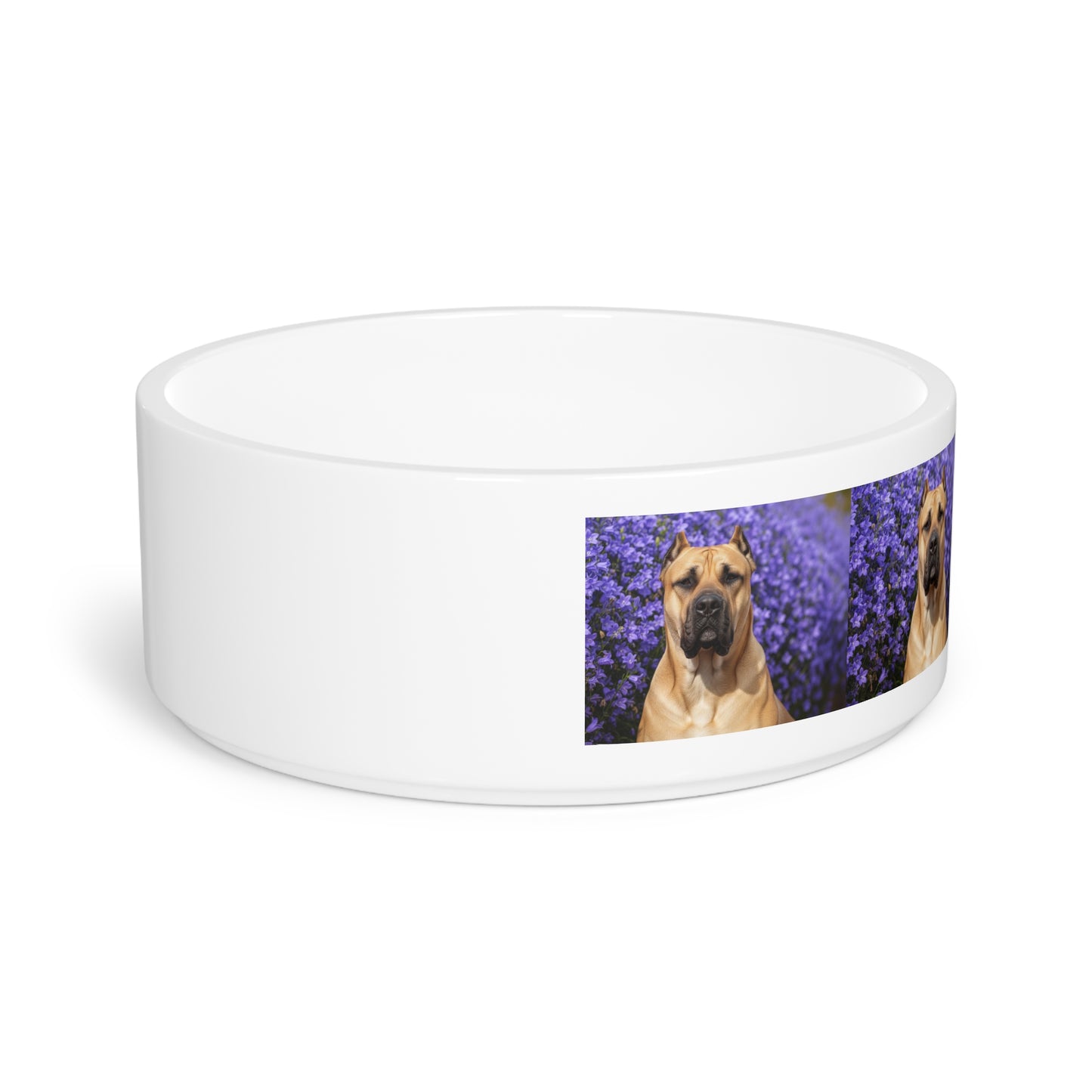 Presa Canario Pet Bowl
