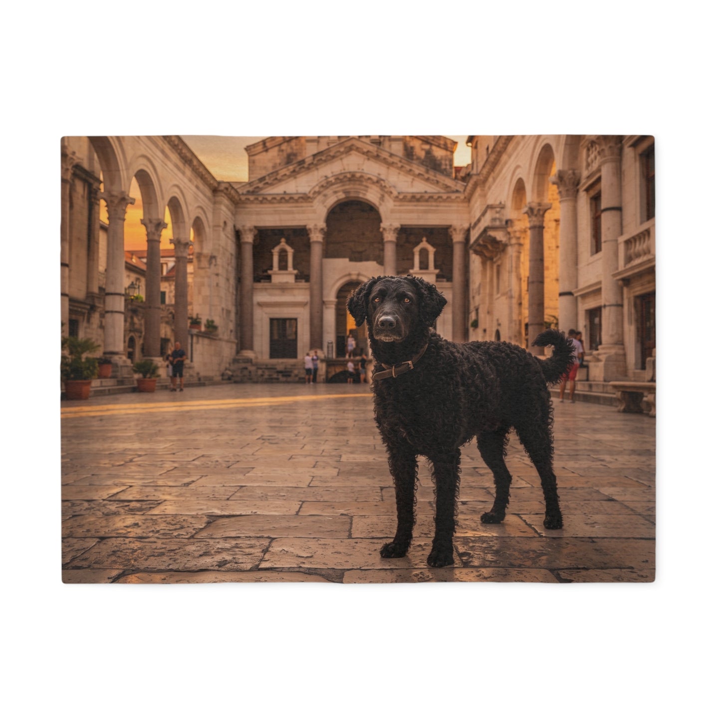 Croatian Shepherd Dog Blanket