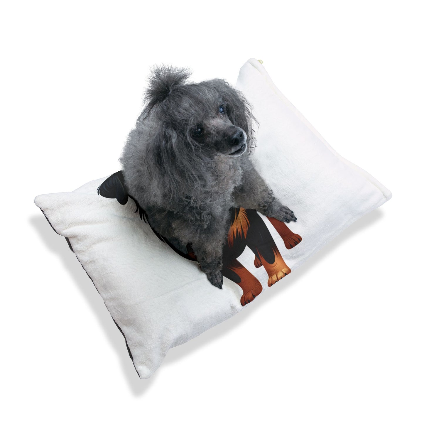 Slovensky Kopov Pet Bed
