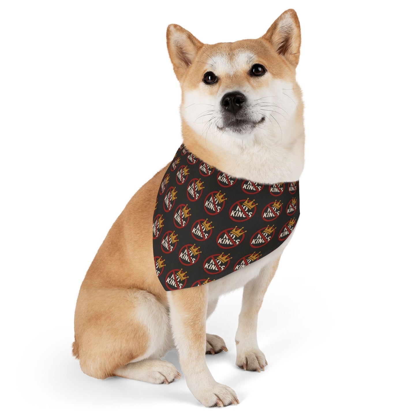 Bandana et collier No Kings