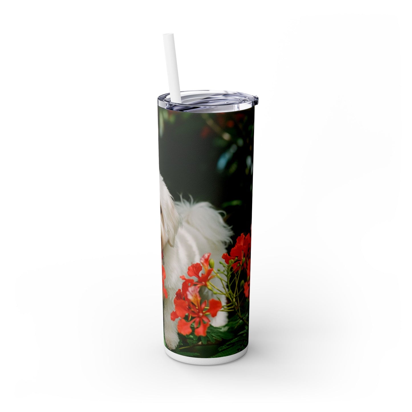 Gobelet Coton de Tuléar avec paille, 590 ml