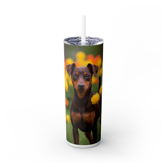 Miniature Pinscher Skinny Tumbler with Straw, 20oz