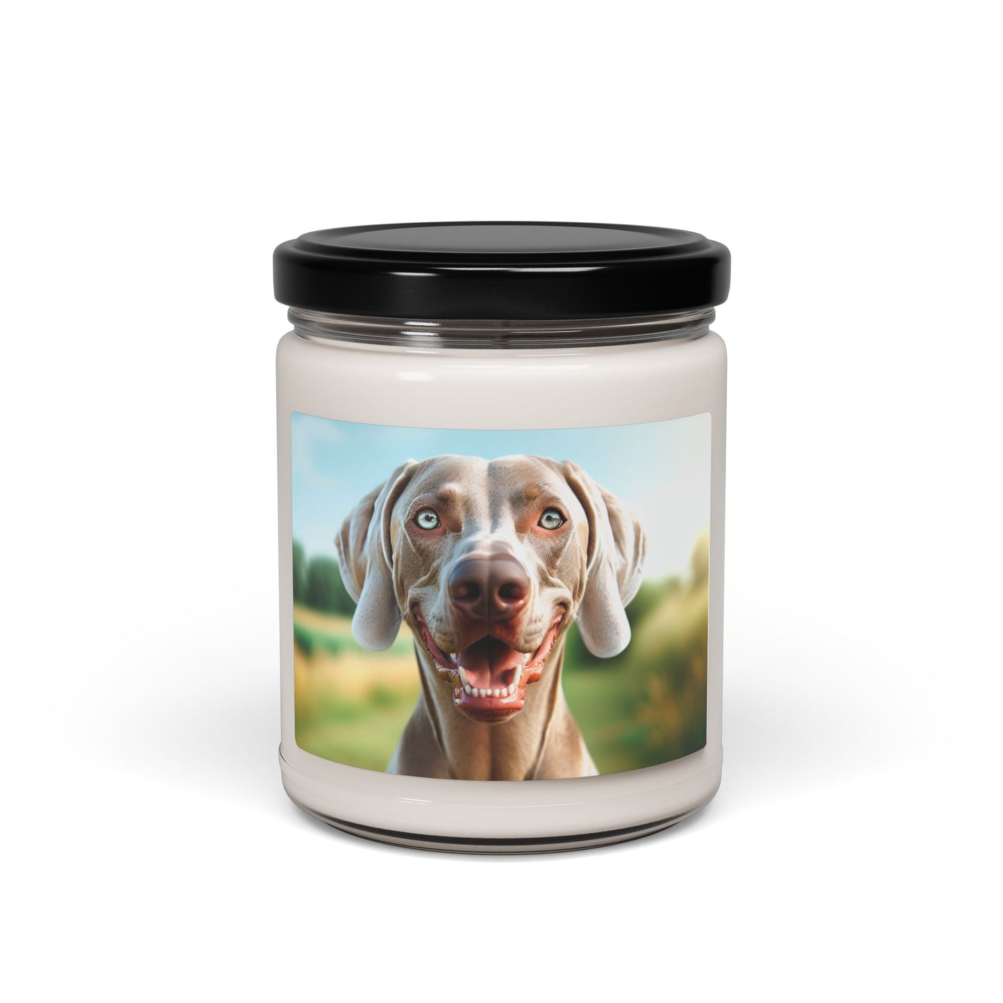 Weimaraner- Scented Soy Candle, 9oz