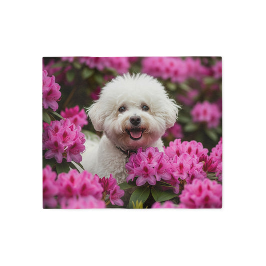 Bichon Frise Sweatshirt Blanket