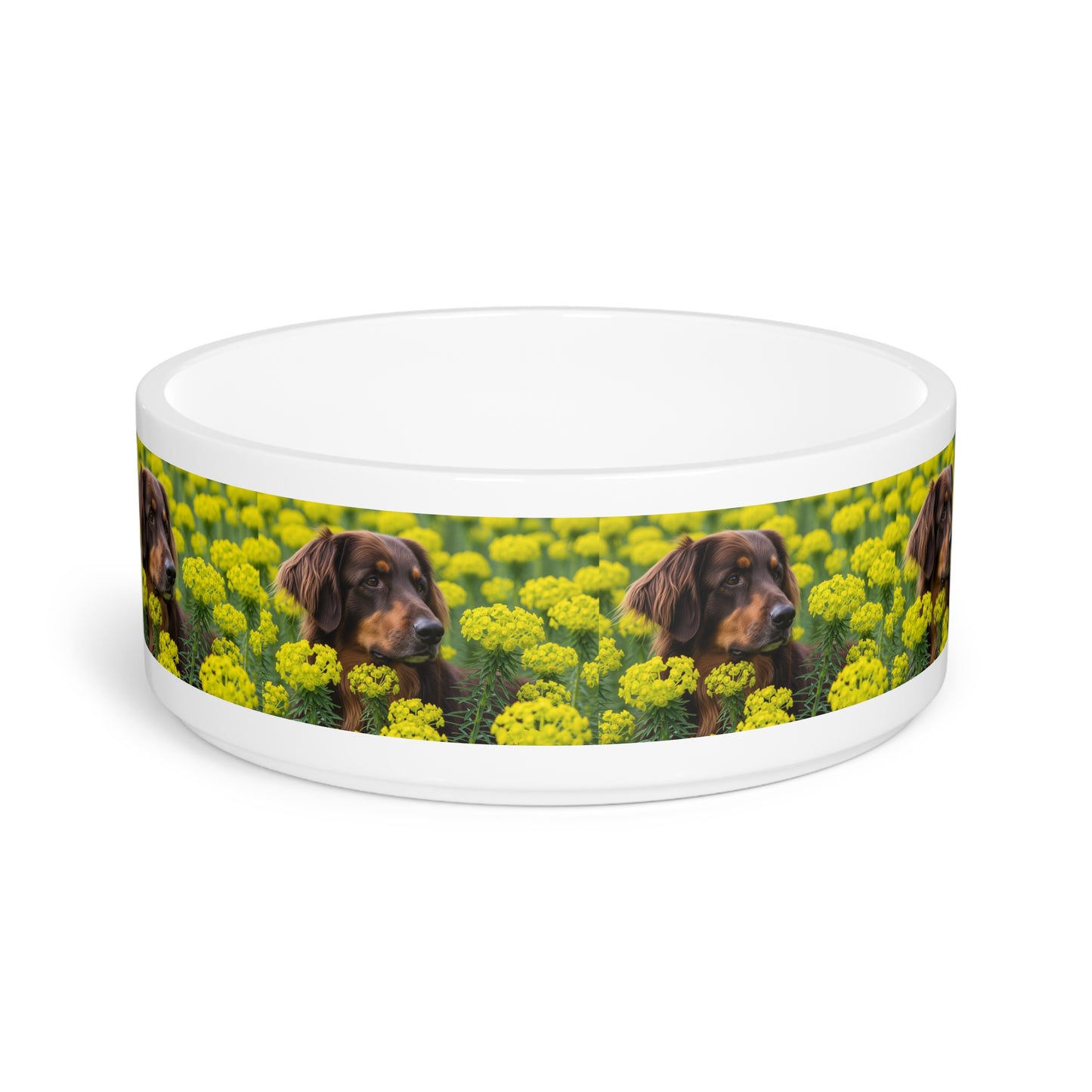 Hovawart Pet Bowl