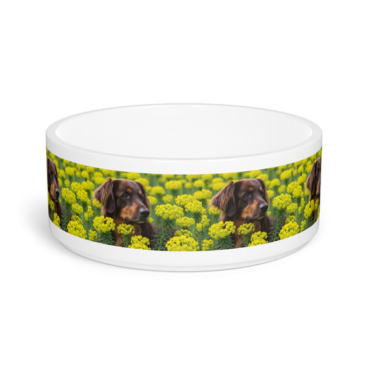 Hovawart Pet Bowl