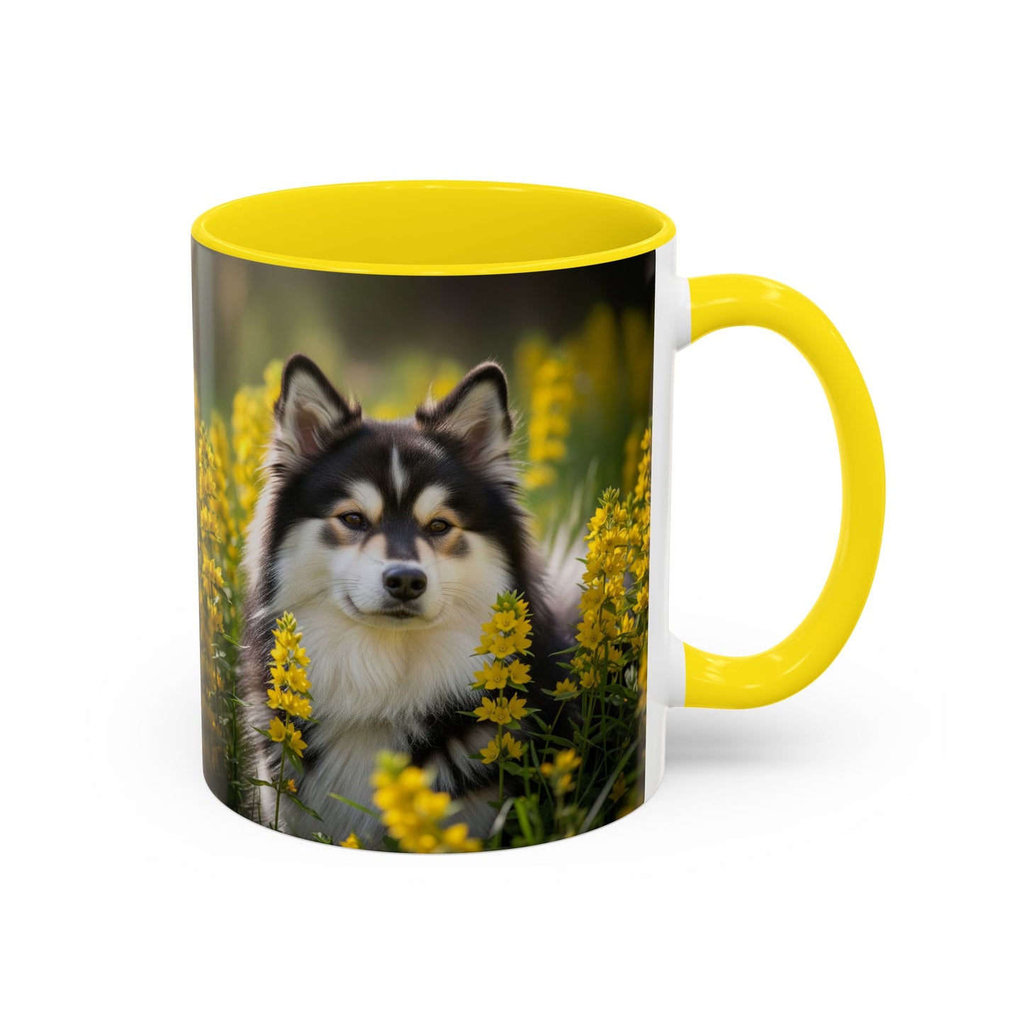 Taza con diseño de perro lapón sueco: el regalo perfecto para los amantes de los perros.